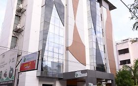 Palm View Hotel Vadodara 3*